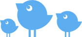 birds