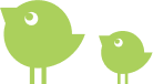 birds