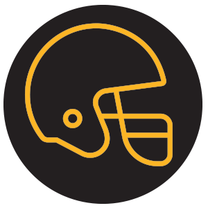 Quartlerly Prize Helmet Icon
